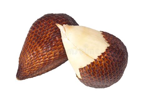 Salak fruit stock image. Image of snake, scaly, sweet - 23717951