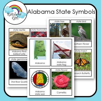 Alabama State Symbols | State symbols, Louisiana state, Alabama state