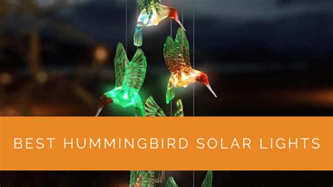 Best Hummingbird Solar Lights for 2024 - Whimsical Lights for a Magical Garden Atmosphere ...