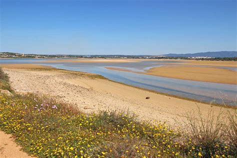 Alvor boardwalk - a detailed walking guide - The Algarve Family