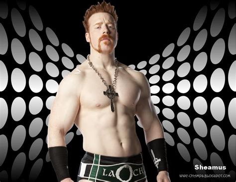 WWE CHAMPS: 'THE CELTIC WARRIOR' SHEAMUS