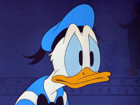 Donald Duck Animation GIF - Find & Share on GIPHY