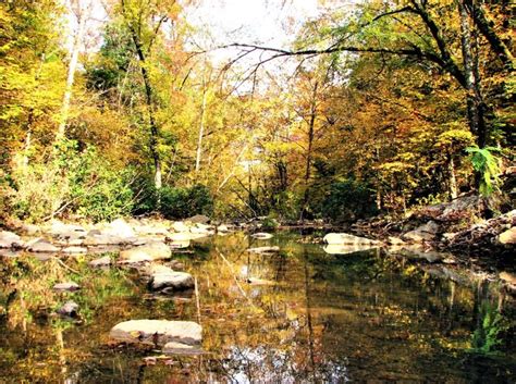 Ride An OHV Trail To View The Stunning Fall Foliage In Arkansas