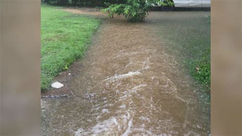 Macon homeowner says clogged storm drain causing yard flooding | 13wmaz.com