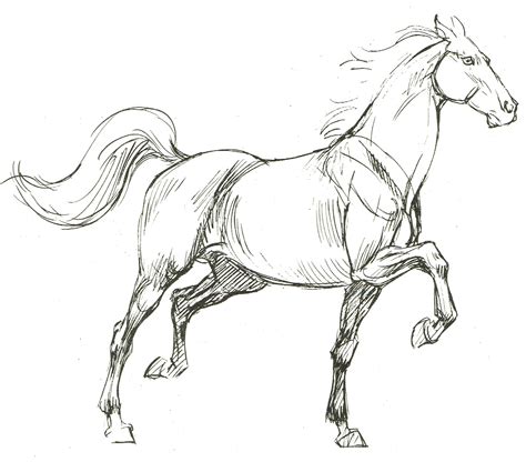 Horse Art Drawing, Horse Sketch, Horse Artwork, Horse Drawings, Art ...