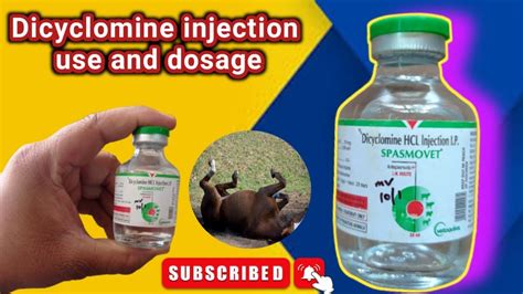 SPASMOVET Inj [Dicyclomine Hcl] Uses & Dosage by Veterinary Telugu #veterinary # ...