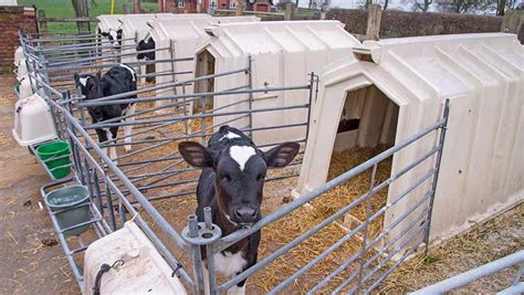 Buyers guide: 6 options for calf housing compared - Farmers Weekly