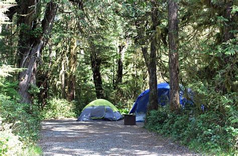 8 Top-Rated Campgrounds in Tofino, BC | PlanetWare