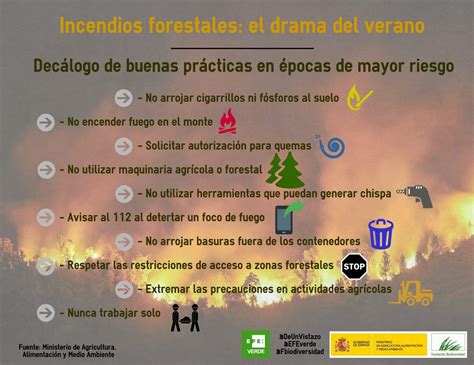 Diez recomendaciones #DeUnVistazo para prevenir los incendios - EFEverde