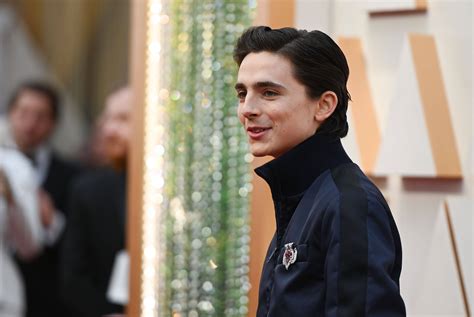 Timothée Chalamet Was A Slick-Haired, Photobombing Stud At The 2020 ...