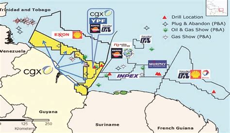 Viable oil reserves could be discovered in Guyana in 12 months – CGX ...