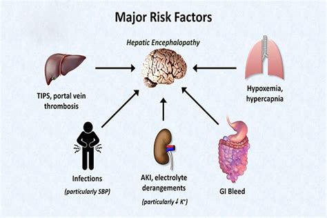 Treatment of Hepatic Encephalopathy Through Ayurveda