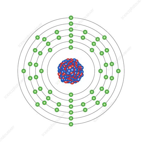 Barium, atomic structure - Stock Image - C013/1606 - Science Photo Library