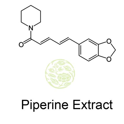 Piperine Extract | Piperine 95% Piper Nigrum | Black pepper benefits