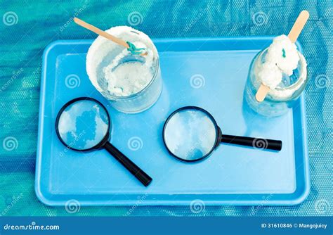 Salt Crystallization - Children's Experiment Royalty Free Stock Image - Image: 31610846