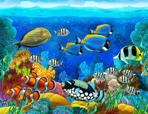 🔥 [46+] Underwater Fish Wallpapers | WallpaperSafari