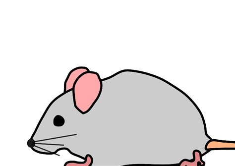 Gray Mouse Clip Art at Clker.com - vector clip art online, royalty free ...