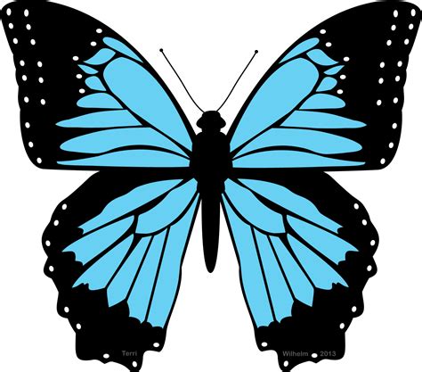 Free Morpho Butterfly Cliparts, Download Free Morpho Butterfly Cliparts png images, Free ...