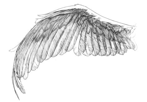 Angel Wings Tattoo Sketch at PaintingValley.com | Explore collection of ...