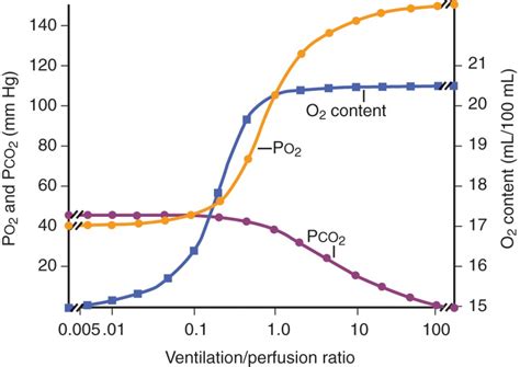 Ventilation/perfusion inequality | Musculoskeletal Key