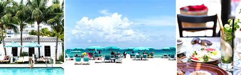 Top Things To Do In Miami Before & After Your Carnival Cruise