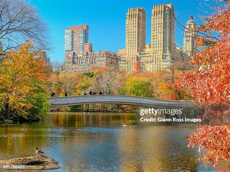 2,089 Central Park Bridges Stock Photos, High-Res Pictures, and Images ...