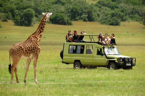 7 Days Tanzania Wildlife Safari | Tanzania wildlife safaris | Tanzania tours