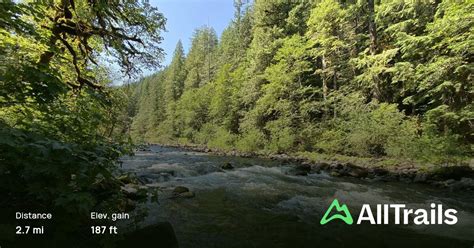 Old Salmon River Trail, Oregon - 1,409 Reviews, Map | AllTrails