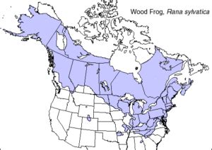 wood frog range map - Bird Watching HQ