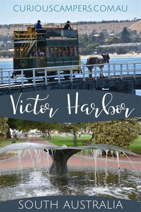 16 fun things to do in Victor Harbor | Curious Campers