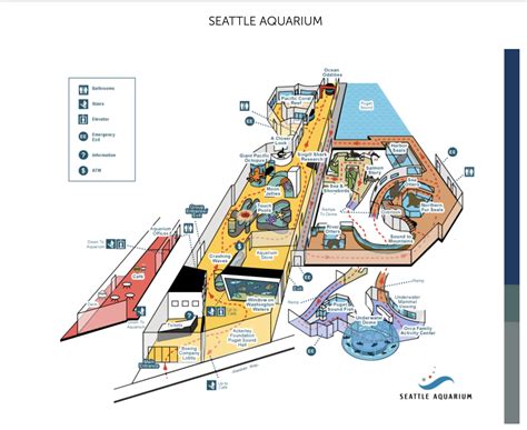 Seattle Acquarium Map | Seattle aquarium, Fish dome, Activity centers