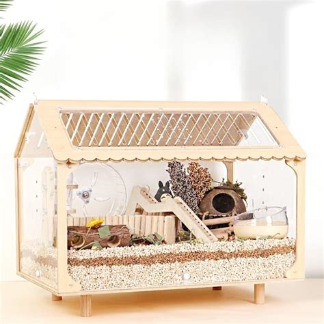 Hamster Cage Setup 101: Everything You Need to Know | wood hamster cage