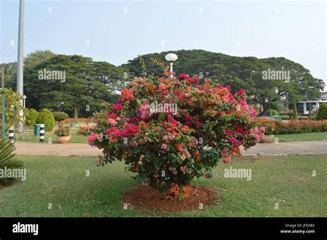 Brindavan Garden Stock Photo - Alamy