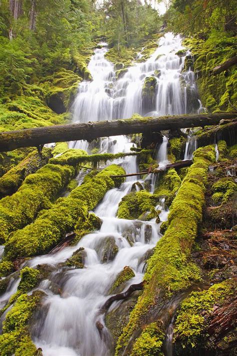 Proxy Falls - Willamette National Forest, Oregon Beautiful Waterfalls, Beautiful Landscapes, The ...