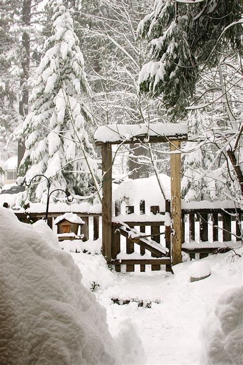 snowy gate | Winter scenes, Garden gates, Outdoor