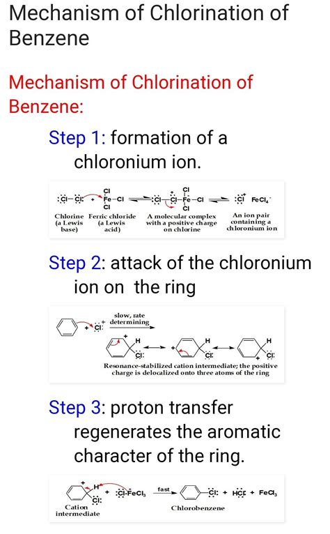 1 explain the mechanism of chlorination of benzene - Brainly.in