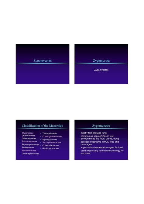 Zygomyceten Zygomycota Classification of the Mucorales - CBS