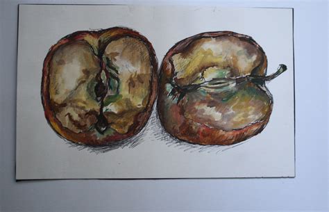 Rotting apples | Portrait drawing, Fruits drawing, Drawings