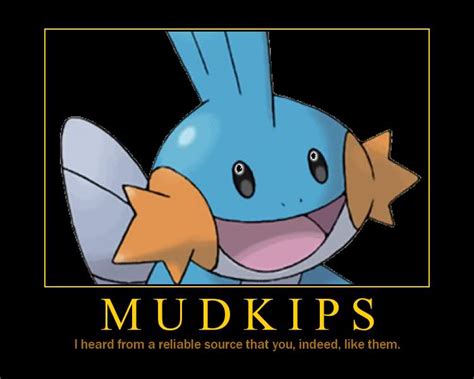 mudkip - Mudkip, Marshtomp & Swampert Photo (35274956) - Fanpop