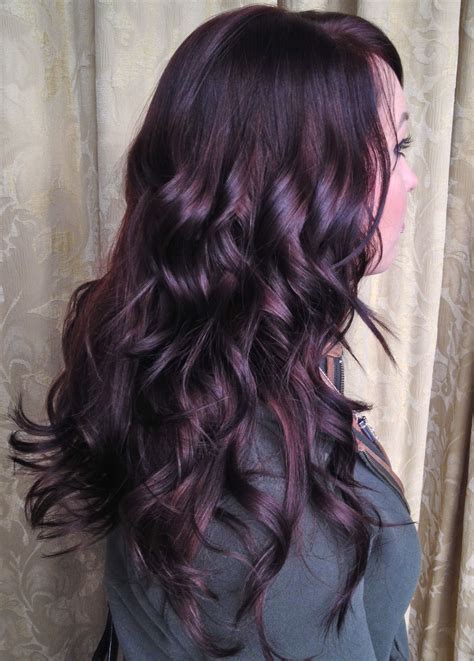 Gorgeous, shiny dark plum hair. Perfect way to add some excitement to ...