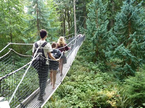 Getting your tree legs at B.C.'s Greenheart Canopy walkway - NBC News