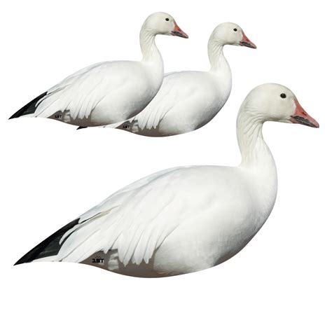 Snow Goose Silhouette Decoys - 3 Pack - Cast Cray Outdoors