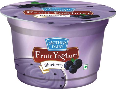 Mother Dairy Yoghurt - Bluebery, 100g Pack: Amazon.in: Grocery ...