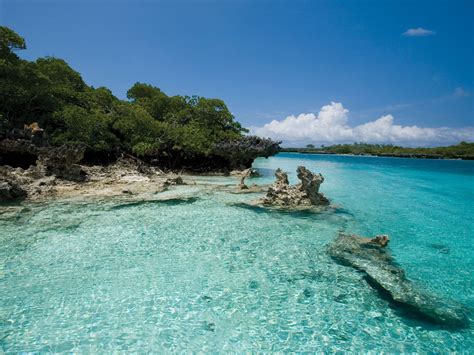 Aldabra Island | Places to go, Places to visit, Nature scenes