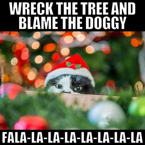 25 Purrfect Christmas Cat Memes: Feline Festive Fun