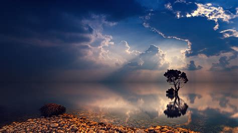 Lonely Tree Sunbeams Wallpaper,HD Nature Wallpapers,4k Wallpapers,Images,Backgrounds,Photos and ...