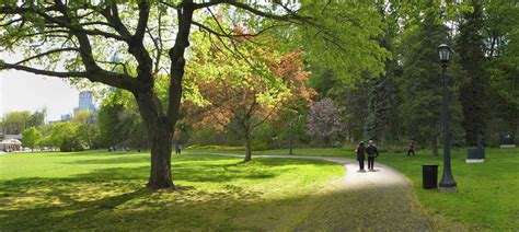 Day #23 A Walk in the Park - Teaching, Training, and Truck Driving