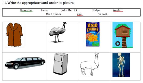 Song: "If I had a Million Dollars" Worksheet & Lesson Plan (ESL)