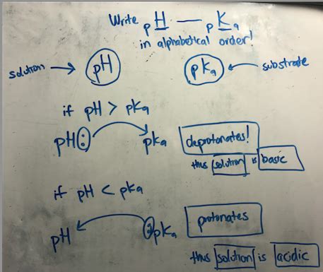 pH vs pKa (deprotonation vs protonation) Memory Aid | Student Doctor Network