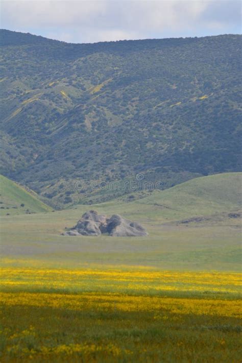 Carrizo Plains National Monument Super Bloom Stock Photo - Image of painted, scenic: 90835296